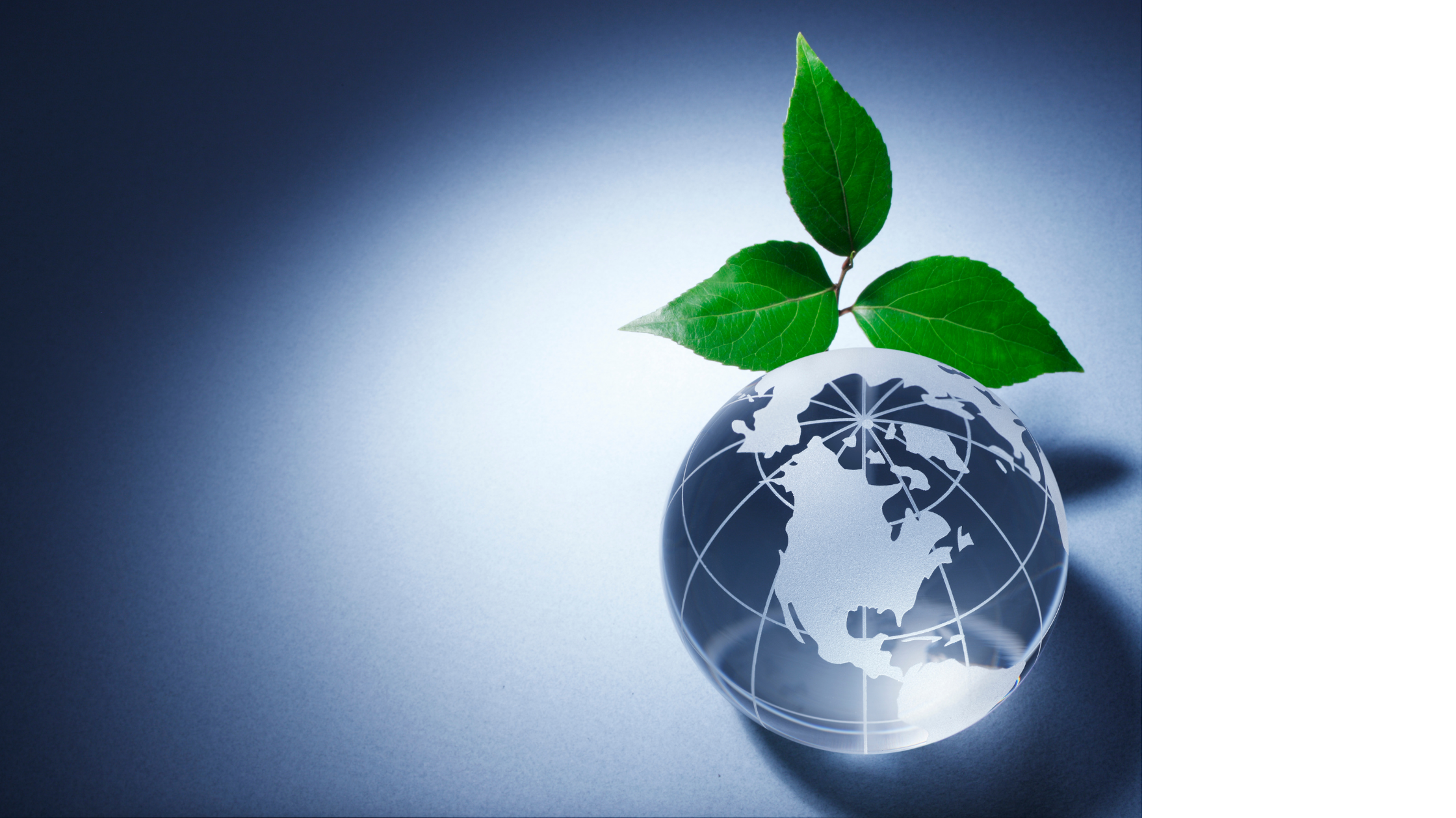 Démarche sociétale et environnementale