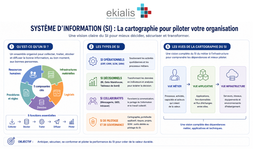 infographie système dinformation (3)